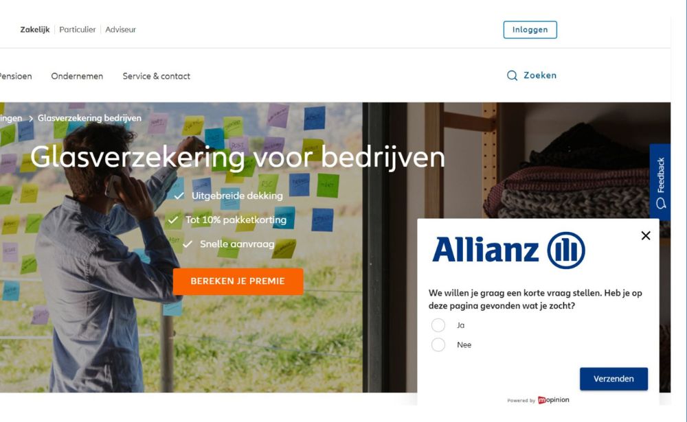 website feedback surveys