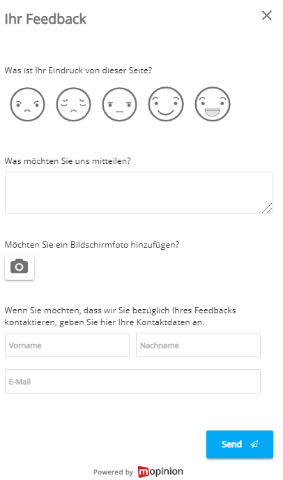 mopinion formular screenshot
