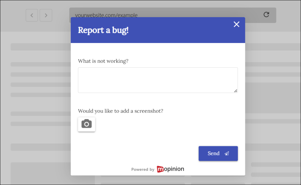 Visual feedback questionnaire example