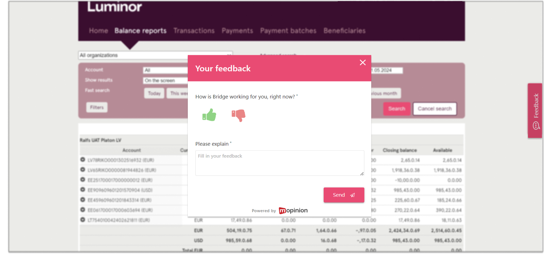 General feedback Luminor