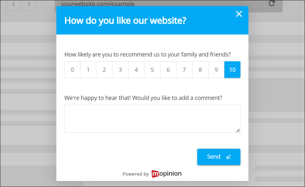 NPS customer feedback form Template