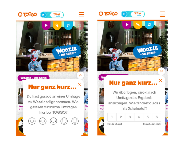 TOGGO market research survey